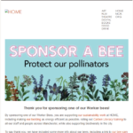 bees1